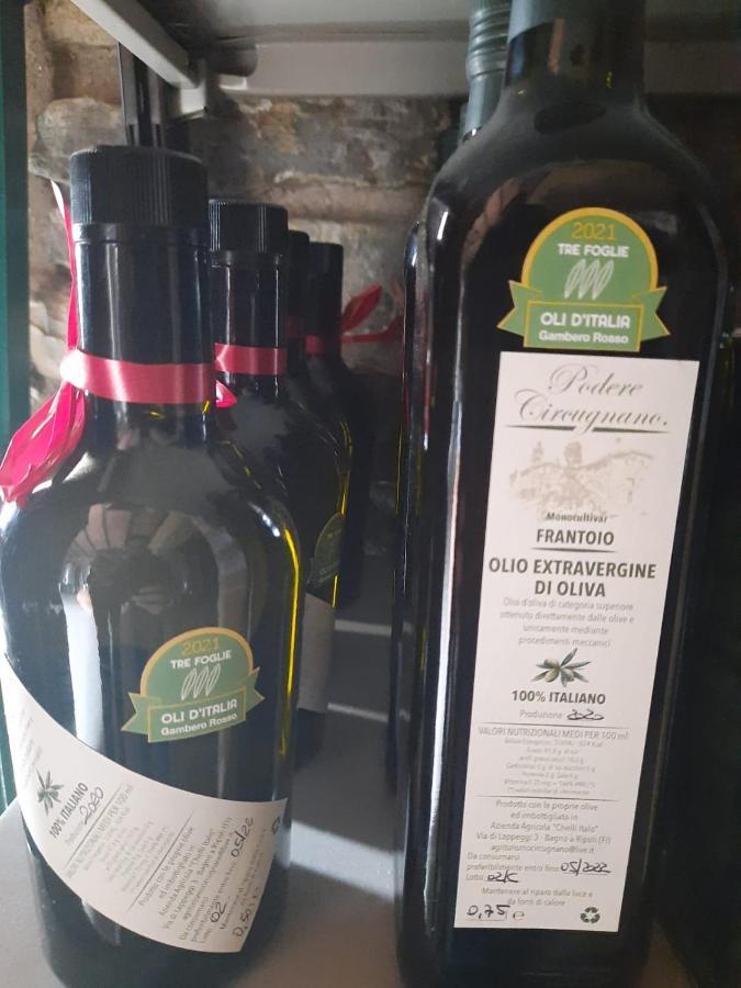 Agriturismo Circugnano Грассина Экстерьер фото