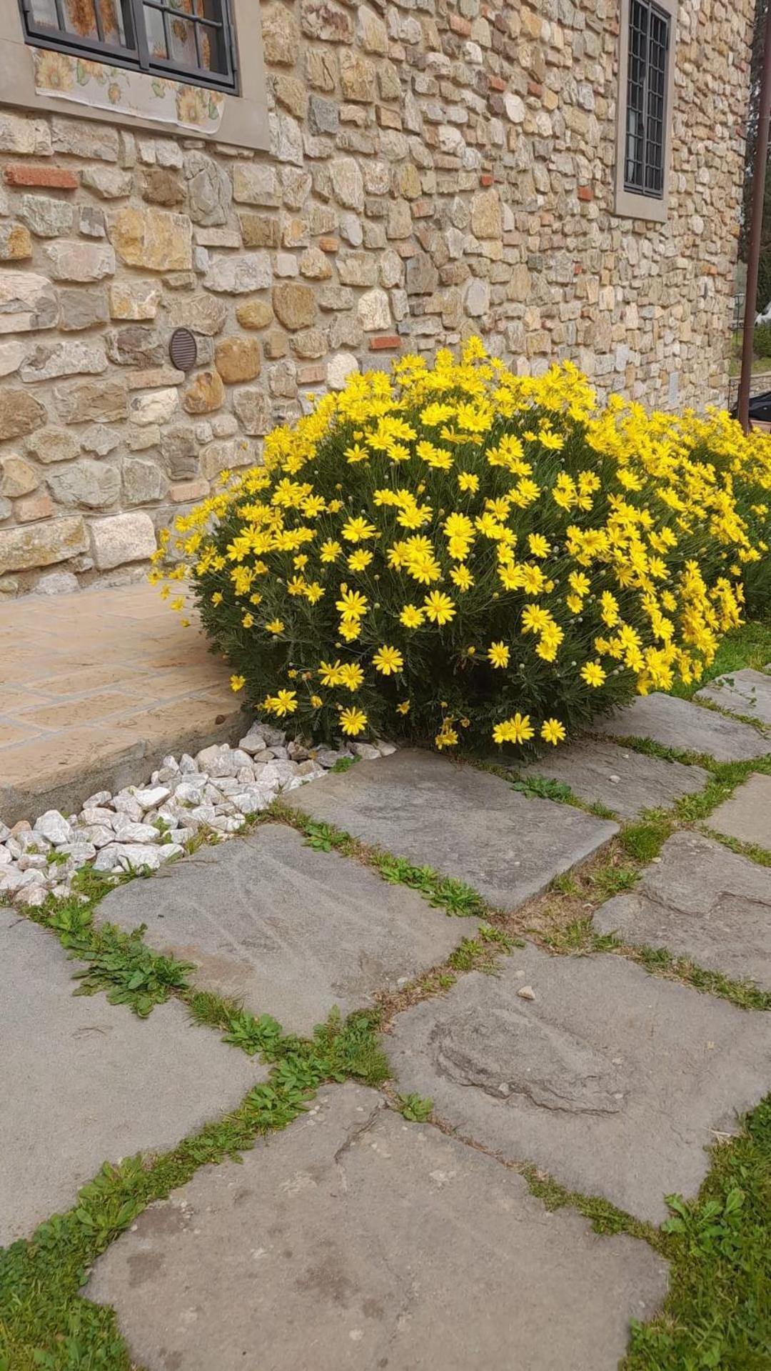 Agriturismo Circugnano Грассина Экстерьер фото