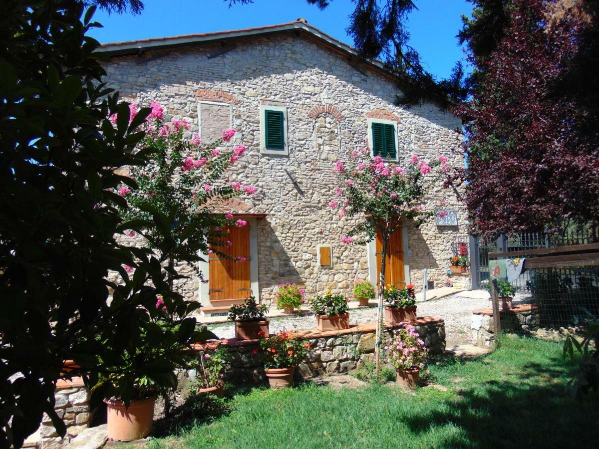 Agriturismo Circugnano Грассина Экстерьер фото