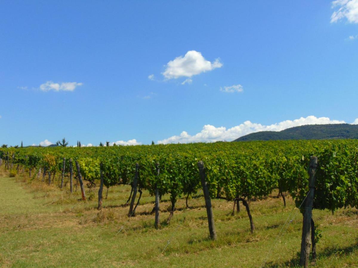 Agriturismo Circugnano Грассина Экстерьер фото
